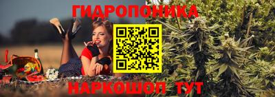 прущая мука Гатчина
