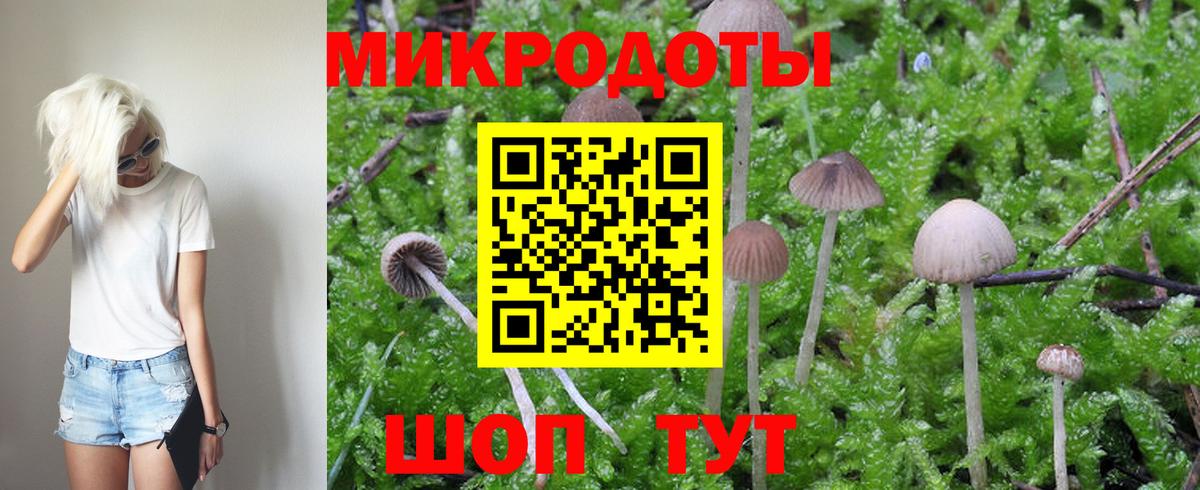 Псилоцибиновые грибы прущие грибы Энгельс